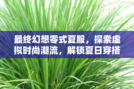 解锁夏日穿搭新风尚图片