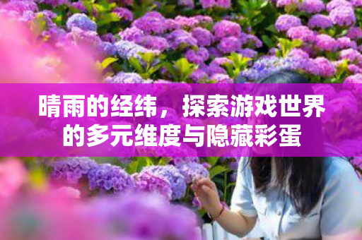晴雨的经纬，探索游戏世界的多元维度与隐藏彩蛋