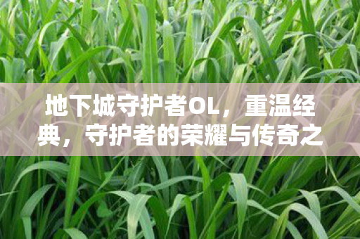 地下城守护者OL,重温经典,守护者的荣耀与传奇之旅 地下城守护者OL,重温经典,守护者的荣耀与传奇之旅