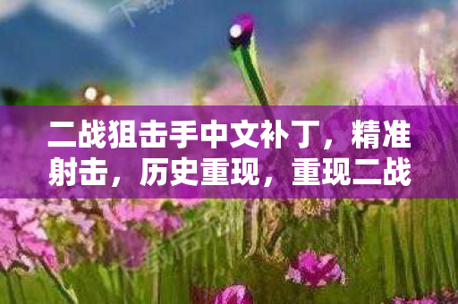 二战狙击手中文补丁,精准射击,历史重现,重现二战战场! 二战狙击手中文补丁,精准射击,历史重现,重现二战战场!