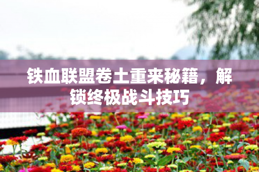 铁血联盟卷土重来秘籍,解锁终极战斗技巧 铁血联盟卷土重来秘籍,解锁终极战斗技巧