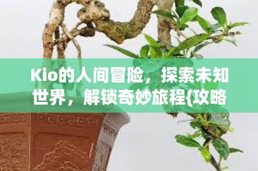 Kio的人间冒险,探索未知世界,解锁奇妙旅程{攻略} Kio的人间冒险,探索未知世界,解锁奇妙旅程{攻略}