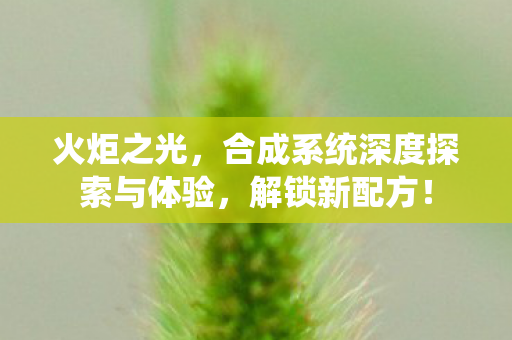 火炬之光，合成系统深度探索与体验，解锁新配方！