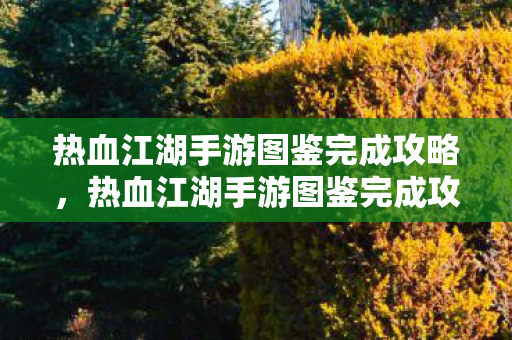 热血江湖手游图鉴完成攻略，热血江湖手游图鉴完成攻略，解锁角色与道具，打造你的江湖之旅