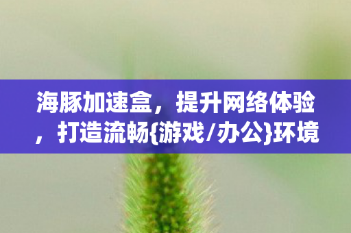 海豚加速盒,提升网络体验,打造流畅{游戏/办公}环境 海豚加速盒,提升网络体验,打造流畅{游戏/办公}环境