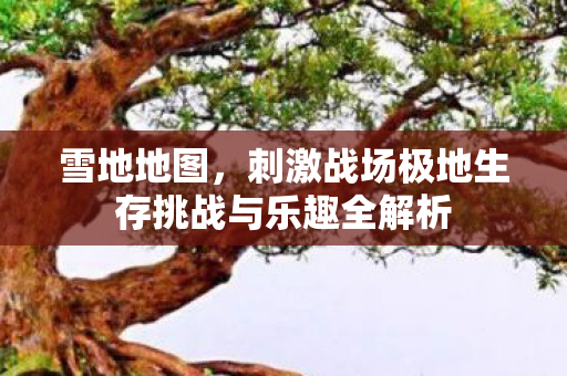 雪地地图，刺激战场极地生存挑战与乐趣全解析