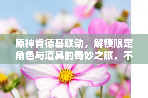 解锁限定角色与道具的奇妙之旅图片