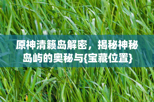 原神清籁岛解密，揭秘神秘岛屿的奥秘与{宝藏位置}