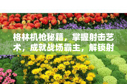 格林机枪秘籍,掌握射击艺术,成就战场霸主,解锁射击技巧! 格林机枪秘籍,掌握射击艺术,成就战场霸主,解锁射击技巧!