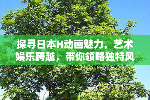 探寻日本H动画魅力,艺术娱乐跨越,带你领略独特风情 探寻日本H动画魅力,艺术娱乐跨越,带你领略独特风情