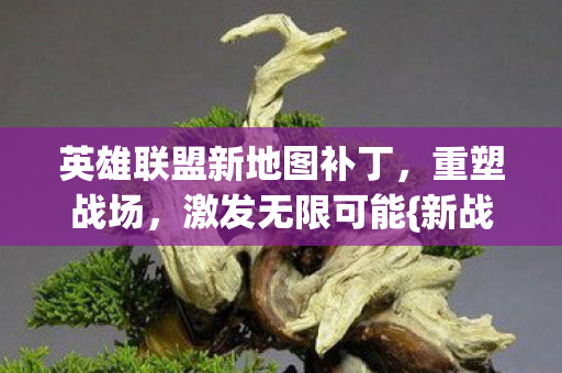 英雄联盟新地图补丁图片