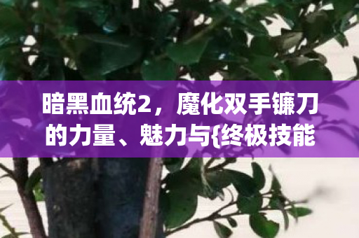 暗黑血统2,魔化双手镰刀的力量、魅力与{终极技能}解析 暗黑血统2,魔化双手镰刀的力量、魅力与{终极技能}解析
