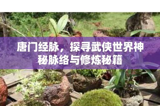 唐门经脉,探寻武侠世界神秘脉络与修炼秘籍 唐门经脉,探寻武侠世界神秘脉络与修炼秘籍