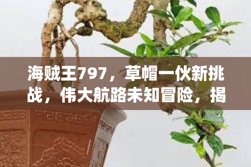 海贼王797，草帽一伙新挑战，伟大航路未知冒险，揭秘{五档路飞}！