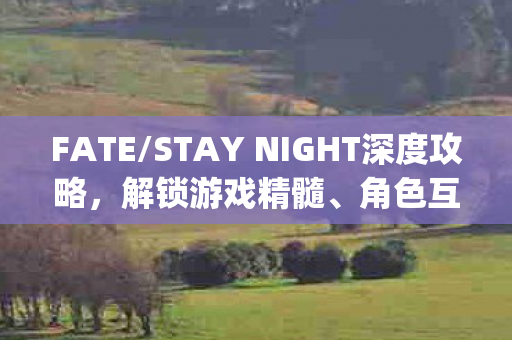 FATE/STAY NIGHT深度攻略,解锁游戏精髓、角色互动与{隐藏剧情} FATE/STAY NIGHT深度攻略,解锁游戏精髓、角色互动与{隐藏剧情}