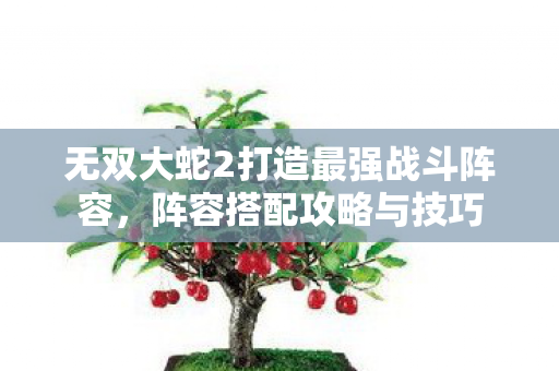 无双大蛇2打造最强战斗阵容图片