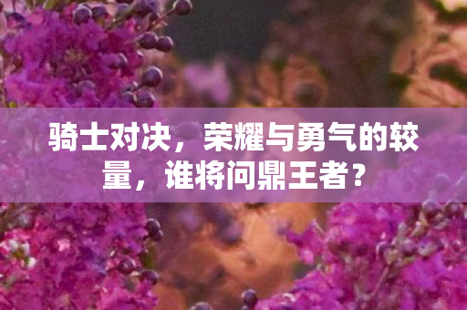 荣耀与勇气的较量图片