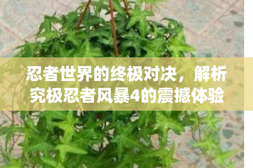 解析究极忍者风暴4的震撼体验与图片