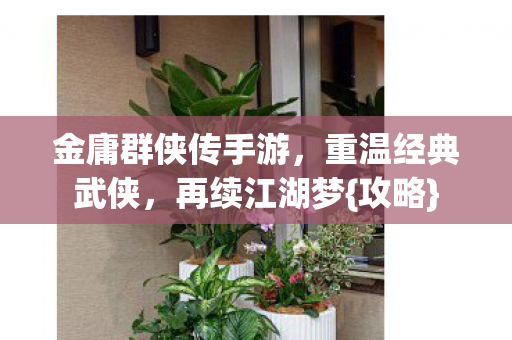 金庸群侠传手游，重温经典武侠，再续江湖梦{攻略}