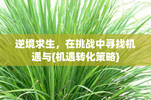 逆境求生，在挑战中寻找机遇与{机遇转化策略}