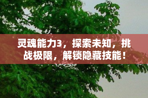 灵魂能力3,探索未知,挑战极限,解锁隐藏技能! 灵魂能力3,探索未知,挑战极限,解锁隐藏技能!