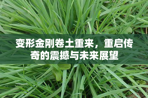 重启传奇的震撼与未来展望图片