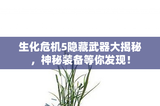 生化危机5隐藏武器大揭秘图片