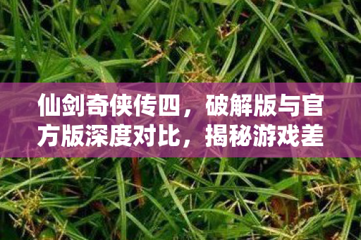 破解版与官方版深度对比图片
