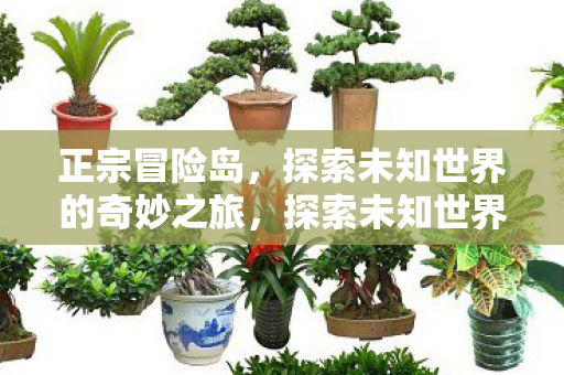 正宗冒险岛,探索未知世界的奇妙之旅,探索未知世界的奇妙之旅,正宗冒险岛 正宗冒险岛,探索未知世界的奇妙之旅,探索未知世界的奇妙之旅,正宗冒险岛