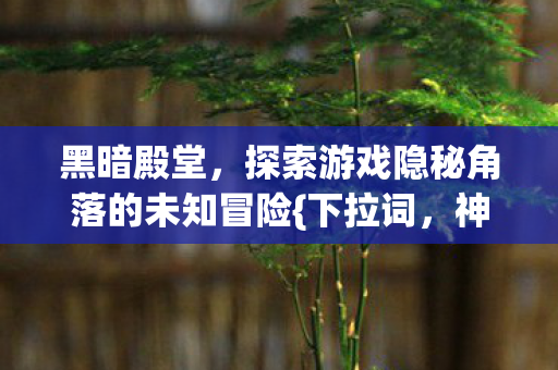 黑暗殿堂，探索游戏隐秘角落的未知冒险{下拉词，神秘事件}