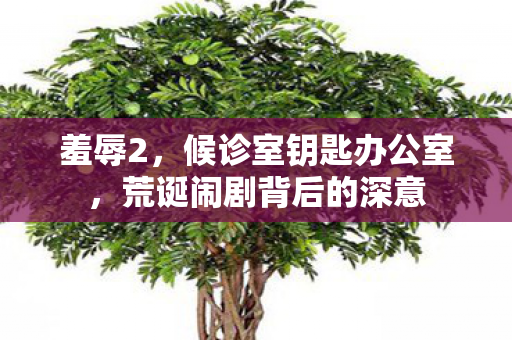 羞辱2，候诊室钥匙办公室，荒诞闹剧背后的深意