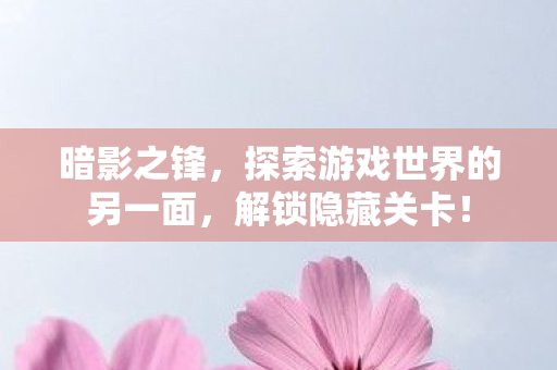 暗影之锋,探索游戏世界的另一面,解锁隐藏关卡! 暗影之锋,探索游戏世界的另一面,解锁隐藏关卡!