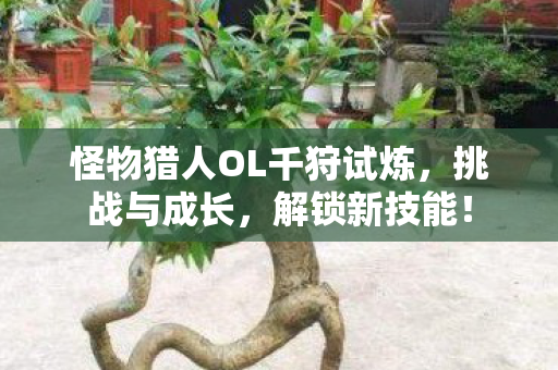 怪物猎人OL千狩试炼，挑战与成长，解锁新技能！