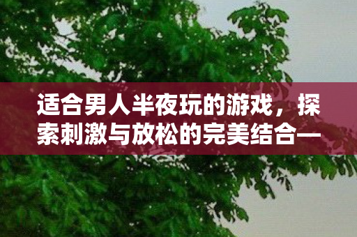 适合男人半夜玩的游戏,探索刺激与放松的完美结合——推荐夜间解压游戏 适合男人半夜玩的游戏,探索刺激与放松的完美结合——推荐夜间解压游戏