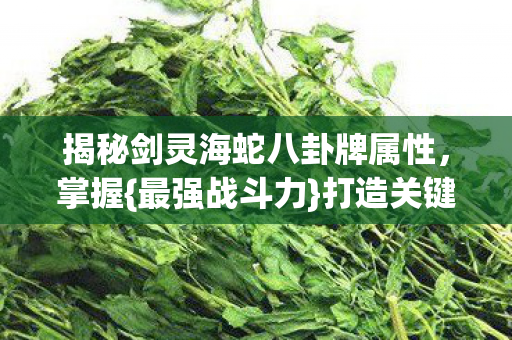 揭秘剑灵海蛇八卦牌属性，掌握{最强战斗力}打造关键