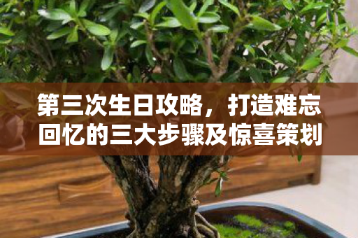 第三次生日攻略,打造难忘回忆的三大步骤及惊喜策划 第三次生日攻略,打造难忘回忆的三大步骤及惊喜策划