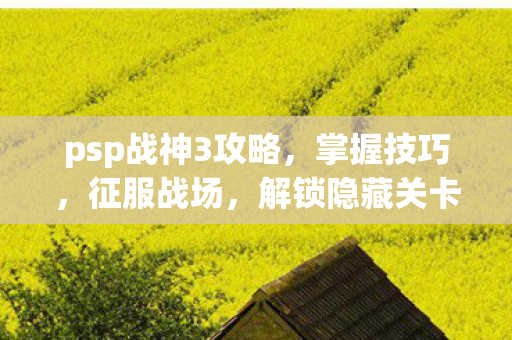 psp战神3攻略，掌握技巧，征服战场，解锁隐藏关卡！