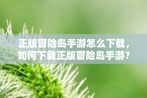 正版冒险岛手游怎么下载，如何下载正版冒险岛手游？