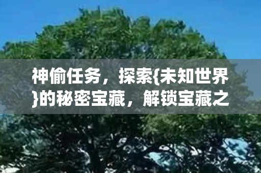 神偷任务,探索{未知世界}的秘密宝藏,解锁宝藏之谜 神偷任务,探索{未知世界}的秘密宝藏,解锁宝藏之谜