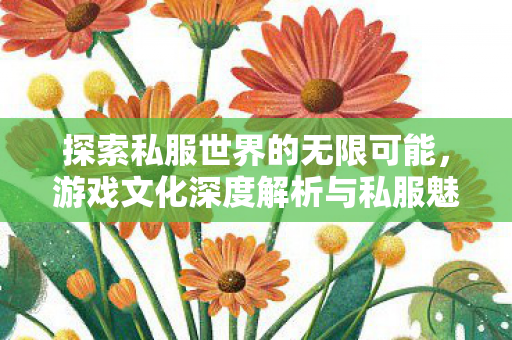 探索私服世界的无限可能,游戏文化深度解析与私服魅力展现 探索私服世界的无限可能,游戏文化深度解析与私服魅力展现