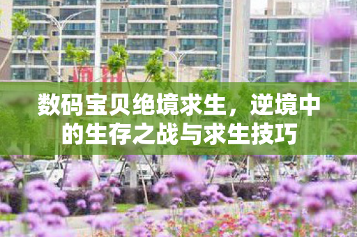 数码宝贝绝境求生，逆境中的生存之战与求生技巧