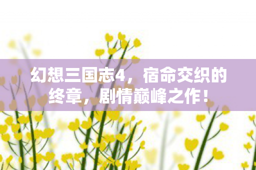 幻想三国志4，宿命交织的终章，剧情巅峰之作！