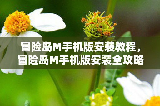 冒险岛M手机版安装教程,冒险岛M手机版安装全攻略 冒险岛M手机版安装教程,冒险岛M手机版安装全攻略