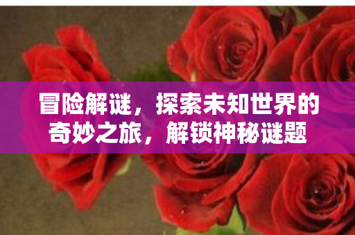 冒险解谜，探索未知世界的奇妙之旅，解锁神秘谜题