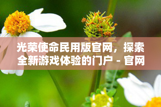 探索全新游戏体验的门户图片