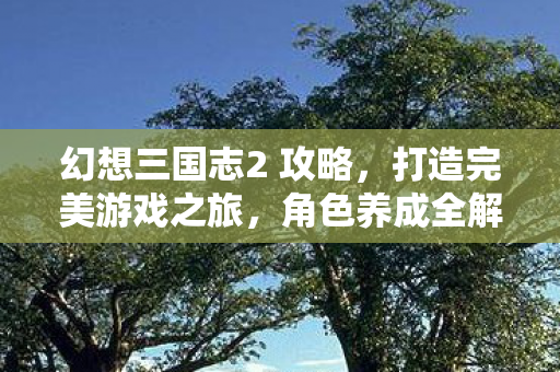 幻想三国志2 攻略,打造完美游戏之旅,角色养成全解析 幻想三国志2 攻略,打造完美游戏之旅,角色养成全解析