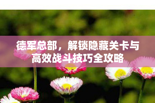 德军总部，解锁隐藏关卡与高效战斗技巧全攻略