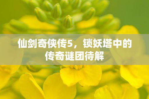 锁妖塔中的传奇谜团待解图片