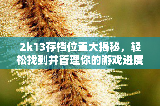 2k13存档位置大揭秘，轻松找到并管理你的游戏进度！