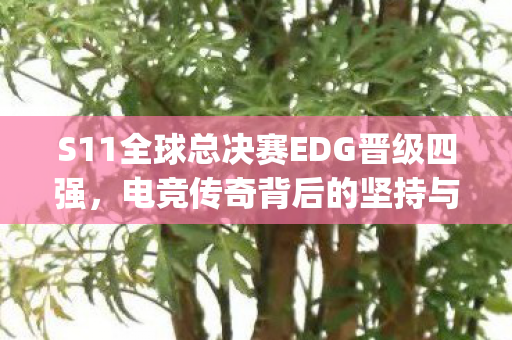 S11全球总决赛EDG晋级四强，电竞传奇背后的坚持与突破，看{战队阵容}如何助力EDG突破重围！